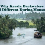 Why Alappuzha Feel Different During Monsoon