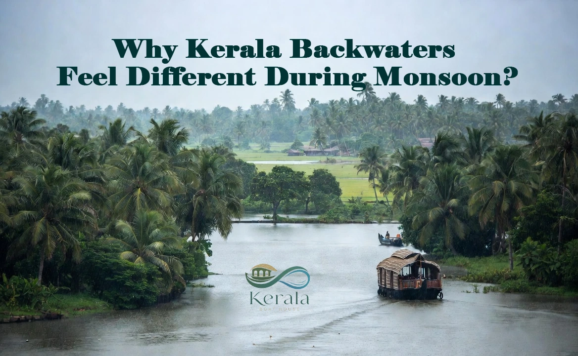 Kerala Houseboat: The Complete Guide to Kerala Backwater Cruises